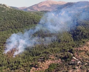 Milas’ta korkutan orman yangını!