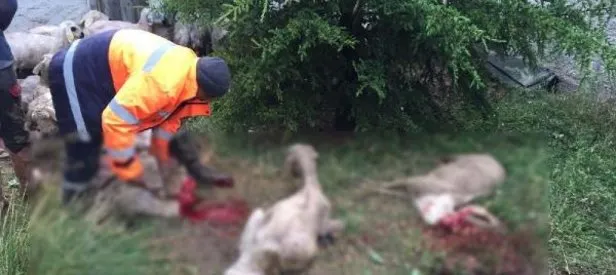 Ankara’da feci olay! 64’ü sele kapıldı