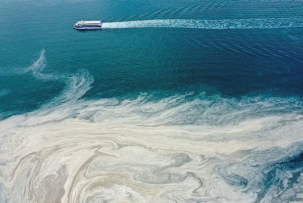 Deniz salyası Marmara'yı işte böyle sarıyor! 30 saniyelik görüntüye yansıdı-4