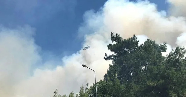 Son dakika: Bursa’da yerleşim bölgesi yakınında orman yangını! Ekipler anında müdahale etti