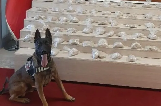 Son dakika: Van'da uyuşturucu operasyonu!
