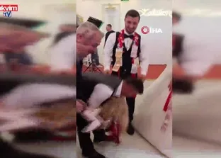 Trabzon’da düğünde altın değil keçi takıldı