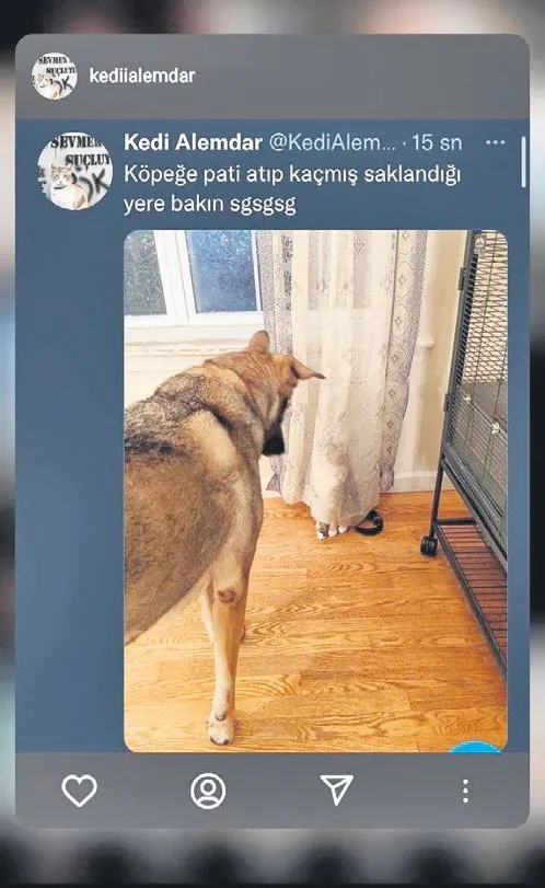 ruh-esi-diye-bir-sey-var-mi-gercekten-1778700950791.jpeg