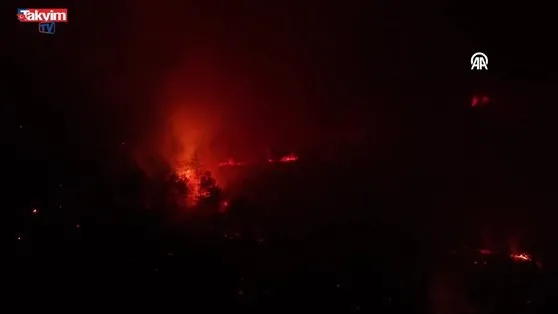 Karabük’te orman yangını!