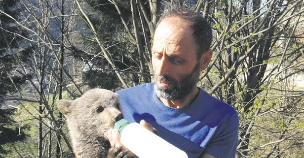 Ayı Yogi!