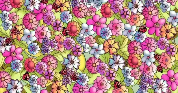 Zeka testi: Uçan kelebeği 5 saniyede yakalayabilen gerçekten keskin gözlere sahip