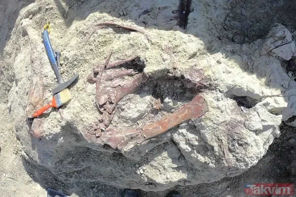 Son akşam yemeği: Bilim insanları yeni bir dinozor türü keşfetti! Meğer tam avını yerken... - 5