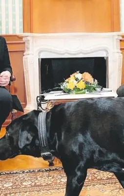 Konni’nin tasması zengin edecek