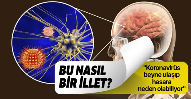 Nöroloji Uzmanı Doç. Dr. Bilgin Öztürk: Koronavirüs, beyne ulaşıp hasara neden olabiliyor