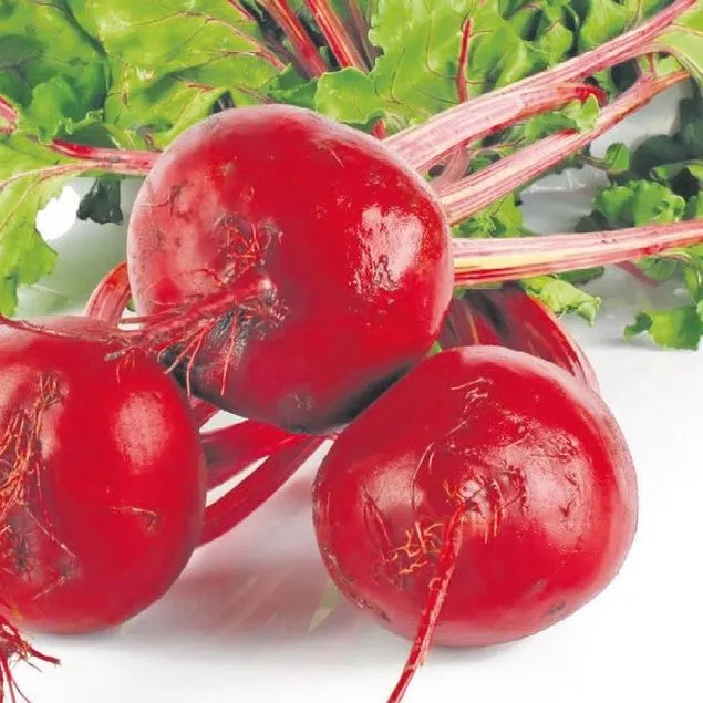 Rengarenk sağlık
