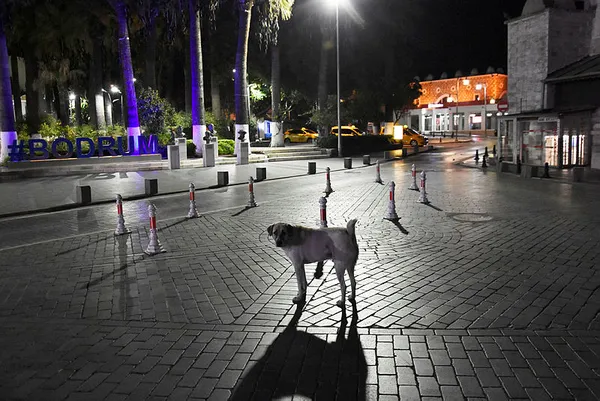 son-dakika-sokaga-cikma-kisitlamasi-basladi-saat-kaca-kadar-surecek-hangi-isletmeler-acik-olacak-iste-tum-ayritinlar-1606664157536.jpg Son dakika: Sokağa çıkma kısıtlaması başladı! Saat kaça kadar sürecek? Hangi işletmeler açık olacak? İşte tüm ayrıntınlar-3