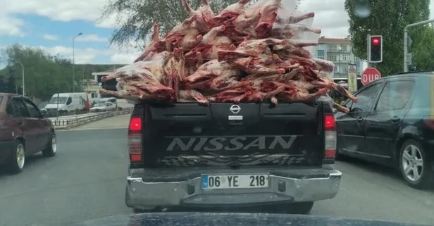 Ankara Polatlı’da pes dedirten görüntü! Kilolarca et kamyonet kasasında böyle taşındı