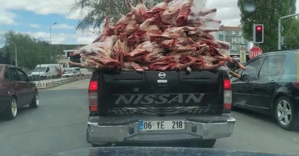 Ankara Polatlı’da pes dedirten görüntü! Kilolarca et kamyonet kasasında böyle taşındı