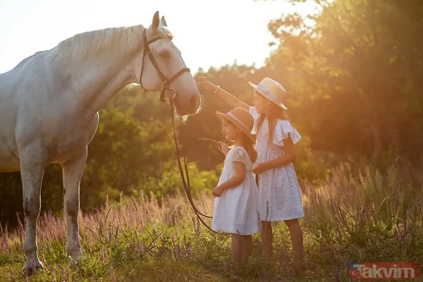 Beyni Mutluluk Moduna Alan 5 Bilimsel Cümle: Psikologlar Bile Uyguluyor - 2