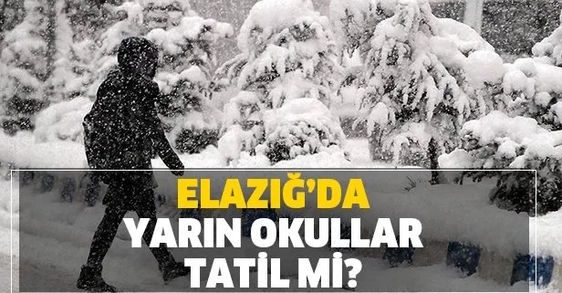 Elazığ’da bugün okullar tatil mi? 30 Aralık Pazartesi MEB Elazığ kar tatili açıklaması var mı?