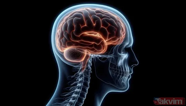 Bel fıtığı ve sinir sıkışmasına İbrahim Saraçoğlu'ndan 1 ayda sonuç veren yöntem - 7