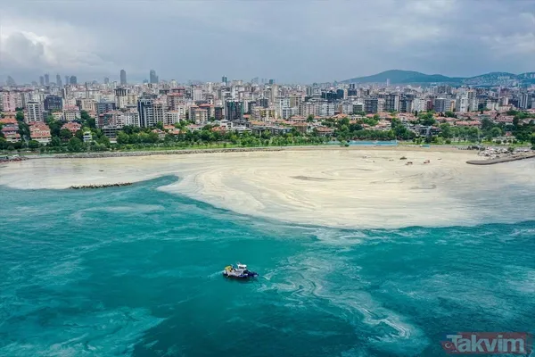 Caddebostan Sahili'nde müsilaj yoğunluğu arttı! Tabloya benzer görüntüler oluştu - 13