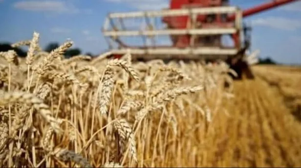 2021-mazot-ve-gubre-destegi-yatti-mi-ne-zaman-yatacak-ziraat-bankasi-mazot-ve-gubre-destegi-sorgulama-odeme-miktari-1634651870028.jpg Ziraat Bankası mazot ve gübre desteği sorgulama! 2021 Mazot ve Gübre desteği yattı mı, ne zaman yatacak? Ödeme miktarı...-3