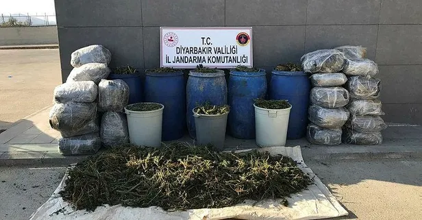 Son dakika: Diyarbakır'da terör operasyonunda 702 kilo esrar ele geçirildi