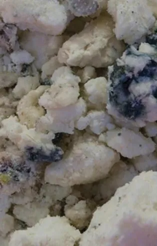 Uzmanlar herkesi özellikle uyarıyor! Küflü diye besinleri çöpe atıyoruz ama atmayın, meğer...