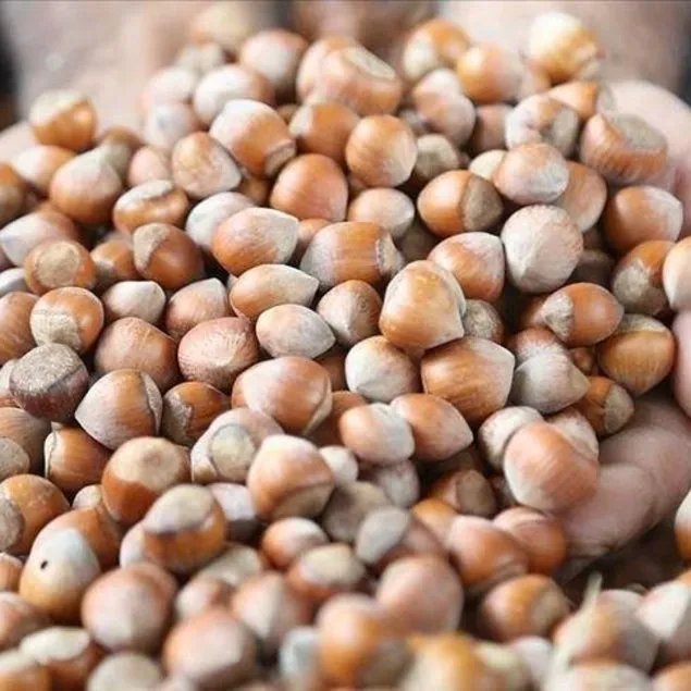 Göbeği eritin