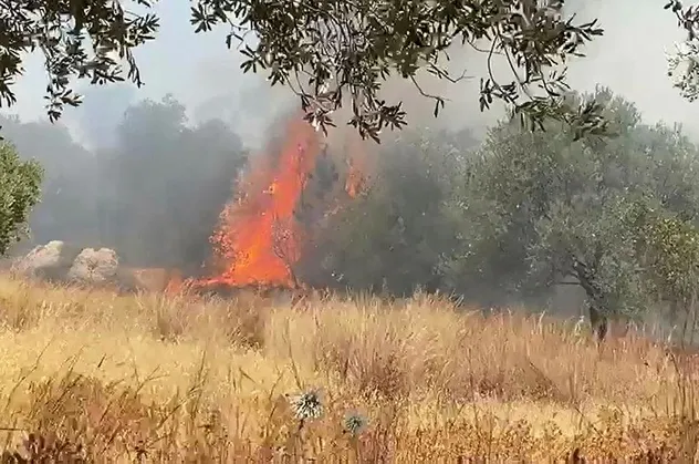 Son dakika: Antalya Kaş'ta orman yangını! Havadan ve karadan müdahaleyle kontrol altına alındı