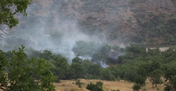 Tunceli’de piknikçilerin olduğu bölgeye yıldırım düştü!