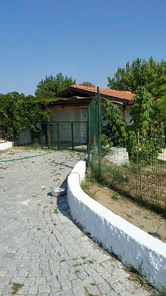 Amerikan FOX TV'nin provokatör sunucusu Fatih Portakal da kaçakçı çıkmıştı! İzmir'deki çiftlik hakkında inceleme!-5