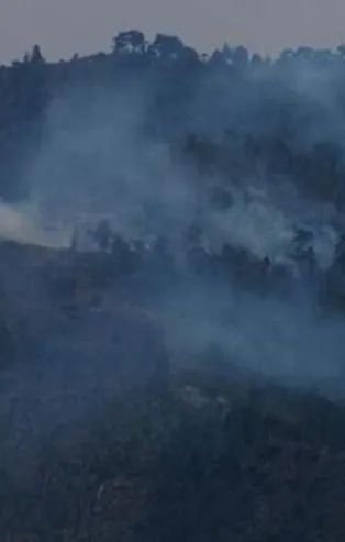 Terör örgütü PKK'nın yangın yalanı çürütüldü