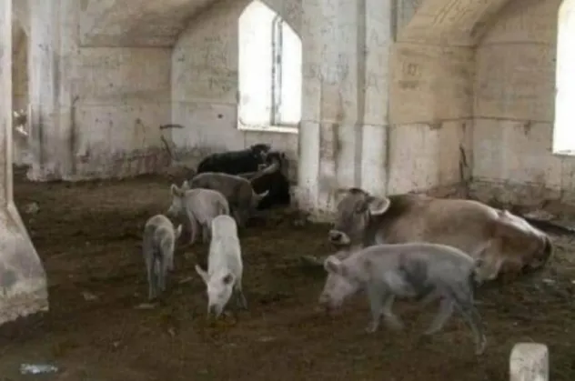 Ermenistan'ın alçaklığı bir kez daha gözler önüne serildi! Dağlık Karabağ'da camileri ahıra çevirip domuz beslemişler!