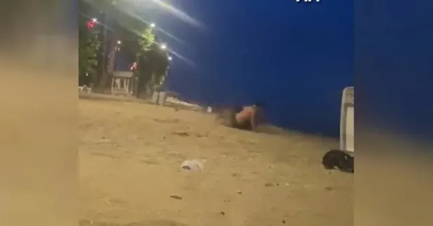 Yalova’da dehşet anları kamerada: Sahilde güreş antrenmanı yapan gençlere köpek saldırdı