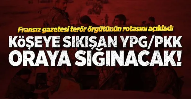 YPG/PKK oraya sığınacak!