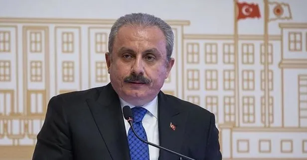 TBMM Başkanı Şentop'tan Ermenistan'a tepki: Ermenistan artık küresel bir sorundur