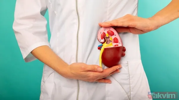 Diyaliz uygulamalarında oruç bozulur mu? Diyanet açıkladı! - 5