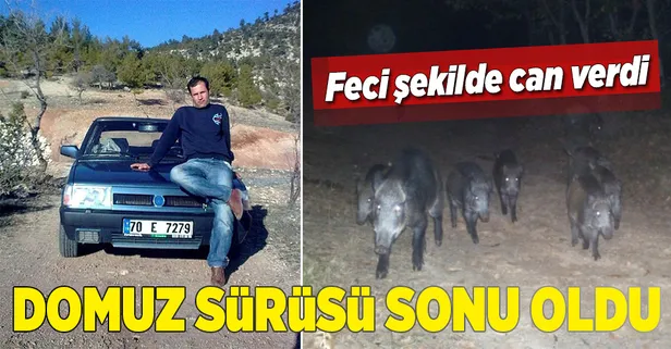 Domuz sürüsü nedeniyle canından oldu-1