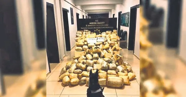 İstanbul’da Ambarlı Limanı'nda düzenlenen operasyonda 175 kilo kokain ele geçirildi