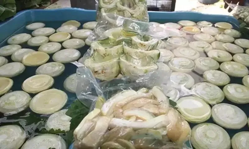 Yetiştiren paraya para demiyor: Altın yanında solda sıfır kalır! Tarlada 25 TL, tabakta 350 TL'den satılıyor!-5