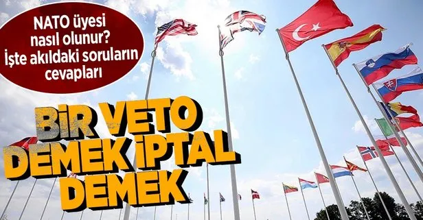 NATO üyeliği nasıl bir süreç?