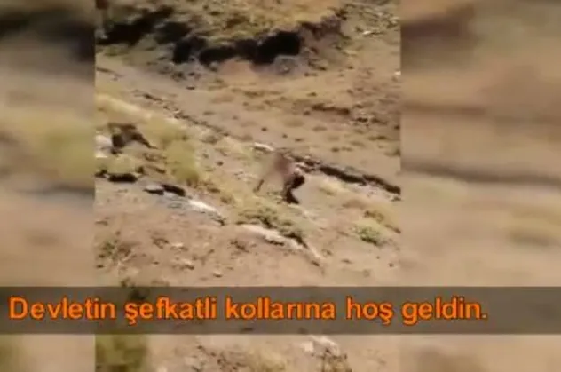 Terör örgütü PKK çözülüyor: "Devletin şefkatli kollarına hoş geldin"