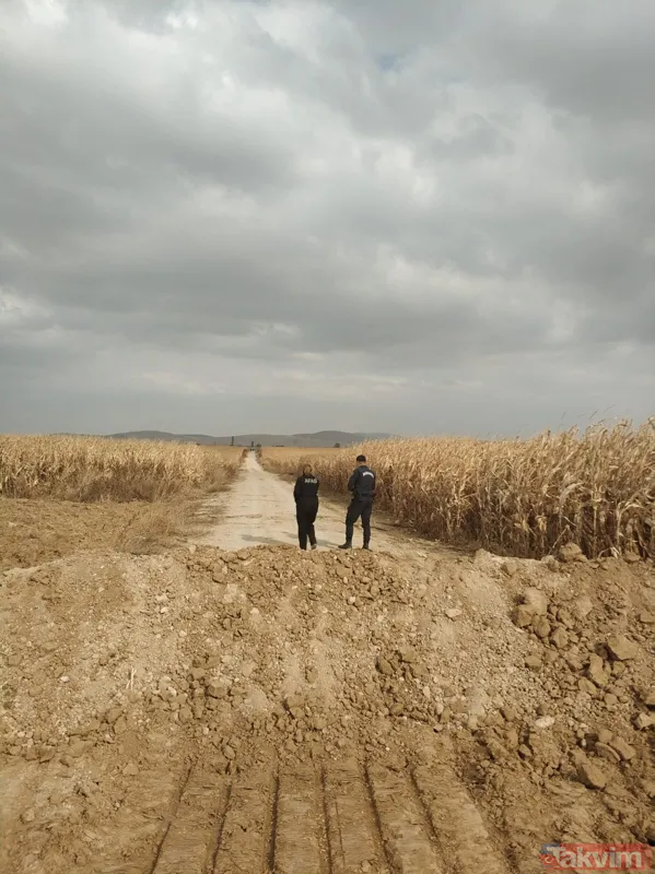 Karaman'da tarla yolunda korkutan yarıklar! - 2