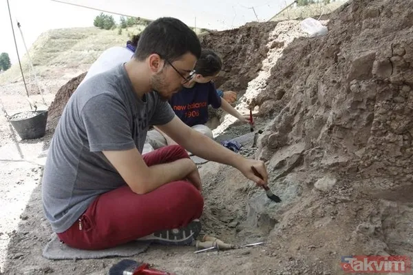 Çankırı'da 8,5 milyon yıllık fosil bulundu! - 19