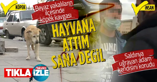 Ataşehir’de köpek kavgası: Hayvana taş attım, sana değil