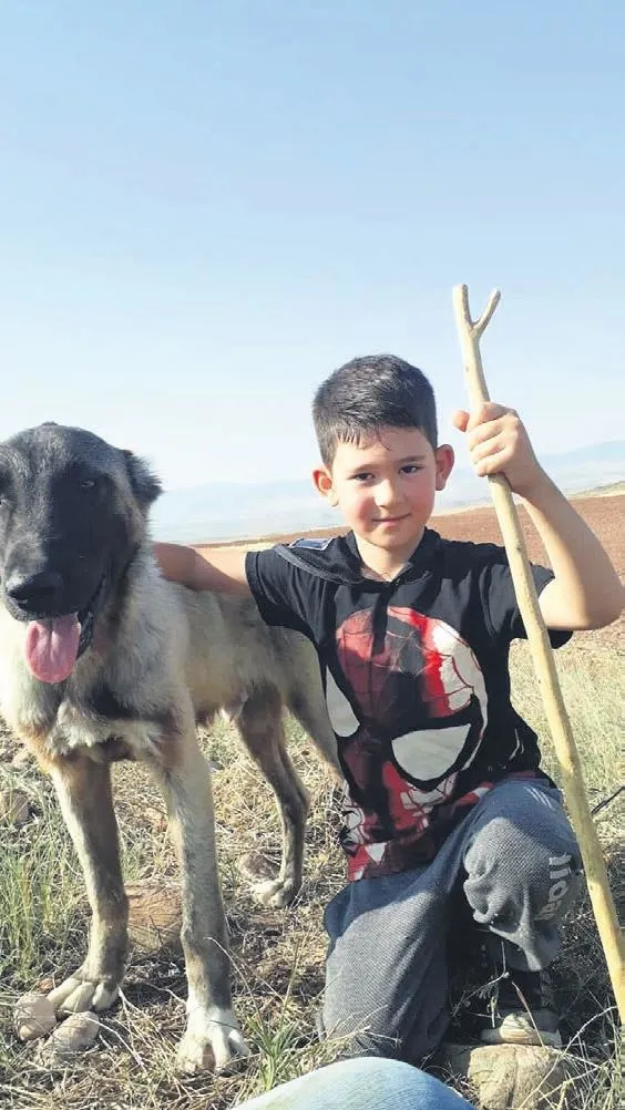 Bu çocuklar 10 kuruş için öldü! Şırınga çikolatada ihmalin kaynağı "ürün geliştirme"