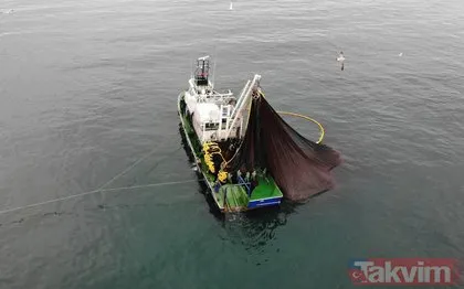 Balıkçılardan Marmara’da rekor! 600 bin kilo hamsi saatler içinde yakalandı