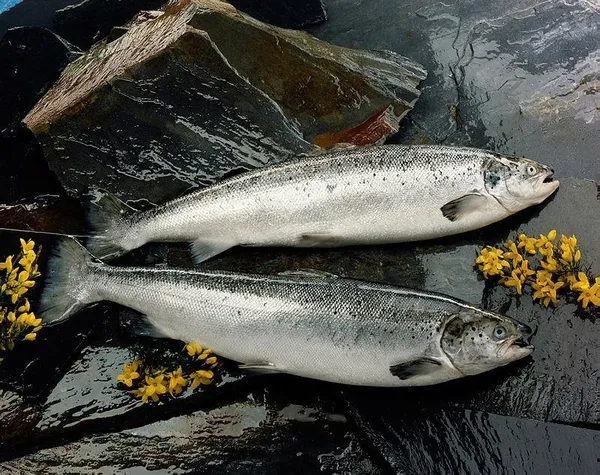 Obezite ömrü kısaltıyor! İşte obeziteye karşı alınacak önlemler...-4