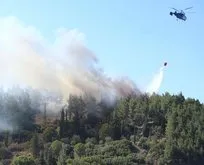 Gelibolu Yarımadası Tarihi Alan bölgesinde çıkan yangın kontrol altına alındı