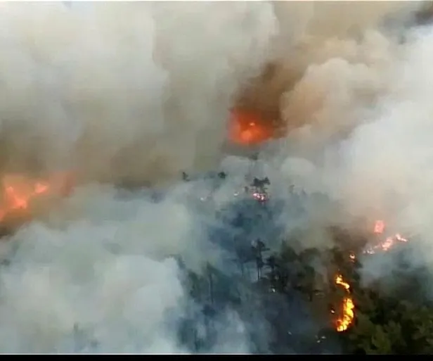 SON DAKİKA: Başkan Recep Tayyip Erdoğan Marmaris'te! Orman yangını olan bölgeyi havadan inceledi-17