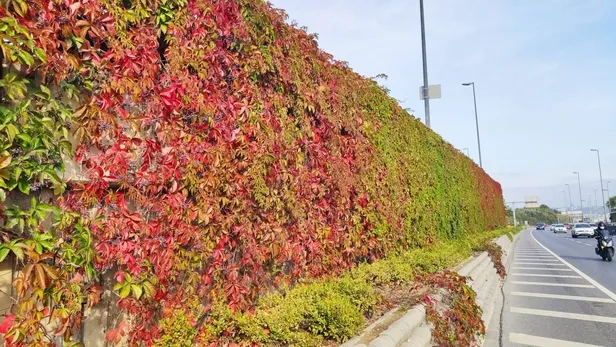 CHP'li İBB Sözcüsü Murat Ongun'un paylaştığı sarmaşık görsellerinin 2015’ten önce yapıldığı ortaya çıktı-2