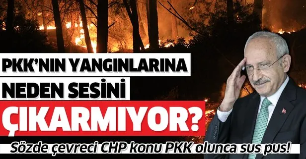 CHP, PKK’nın yangınlarına neden ses çıkarmıyor?