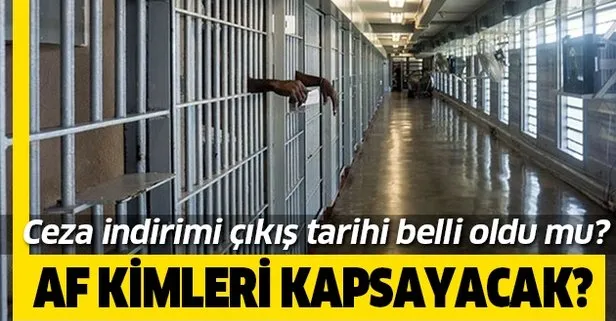 21 Ekim af ve ceza indirimi en son durum nedir? Genel af ne zaman gelecek?